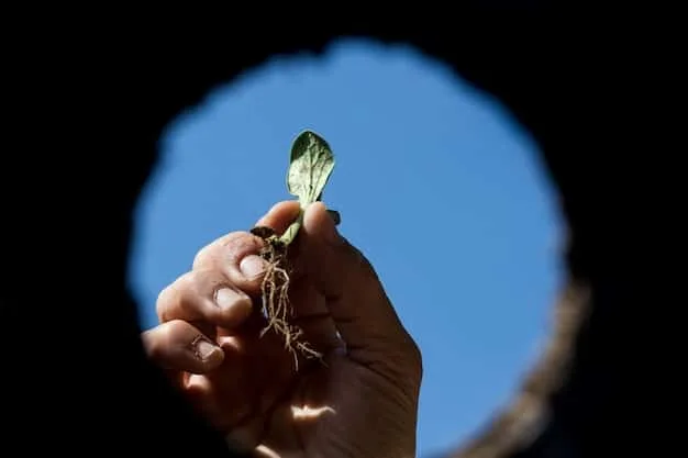 A conceptual image showing a hand holding a seedling amidst factories with reduced emissions and solar panels on rooftops, symbolizing environmental regulations fostering sustainable industrial growth.