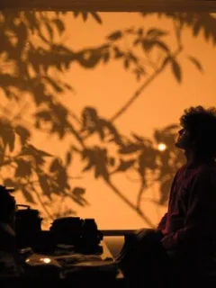 Mindfulness Meditation Cuts Anxiety by 20%: New Study Reveals Benefits - Cover Image
