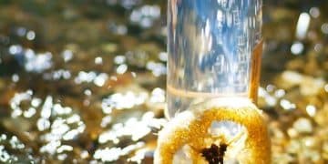Fragrance Review: Unveiling Scents, Notes, and Lasting Impressions - Cover Image