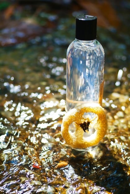 Fragrance Review: Unveiling Scents, Notes, and Lasting Impressions