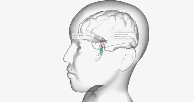 A close-up of a human nose with olfactory receptors highlighted. The image is accompanied by a diagram illustrating the olfactory pathway from the nose to the brain.