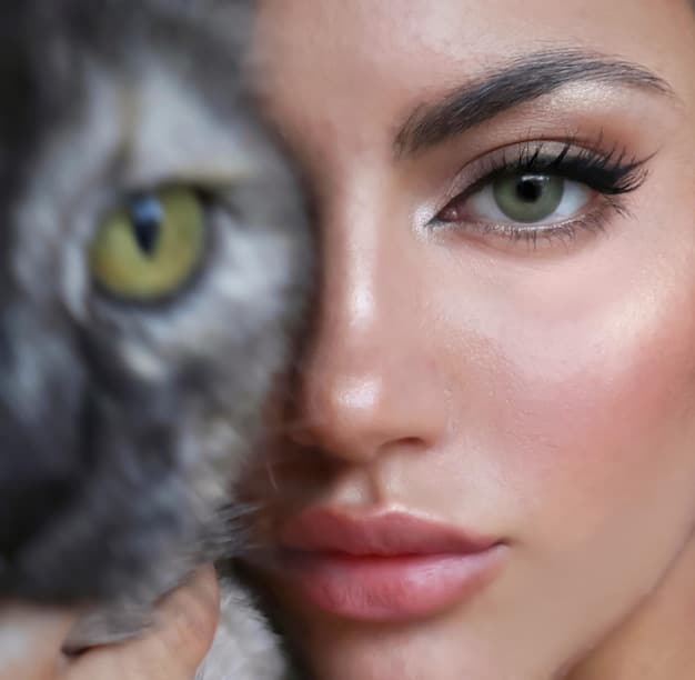 Before and after comparison of a cat eye, showing a smudged eyeliner and then a clean and precise cat eye after troubleshooting. The focus is on the improvement achieved with proper techniques.