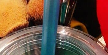How to Clean Makeup Brushes: A Step-by-Step Guide - Cover Image