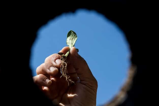 A conceptual image showing a hand holding a seedling amidst factories with reduced emissions and solar panels on rooftops, symbolizing environmental regulations fostering sustainable industrial growth.