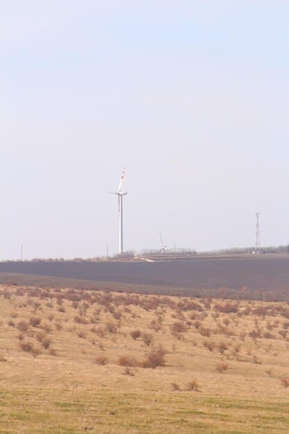 US Energy Policy Update: Focus on Renewable Sources Driving Change