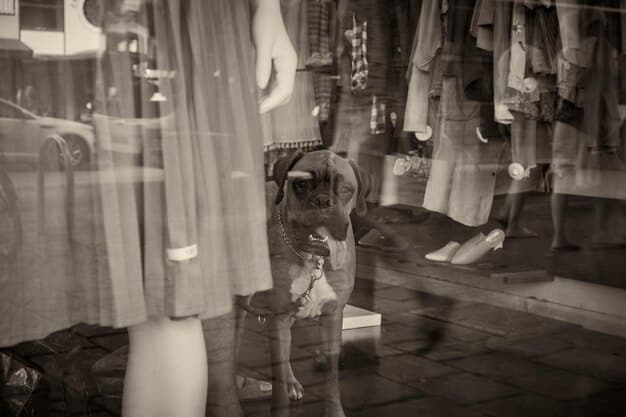Vintage Fashion: Sourcing, Styling & Care Guide