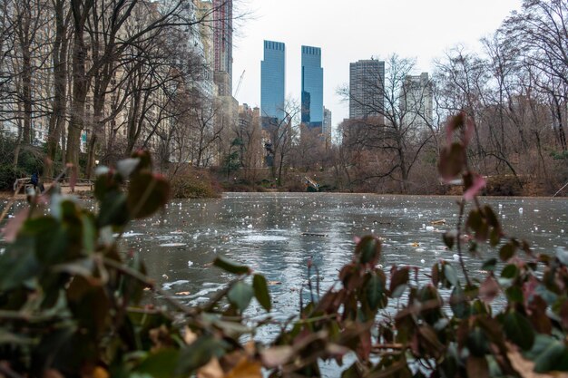 Climate Change’s US Economic Impact: Costs & Solutions