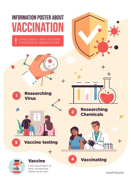 A detailed, clear infographic illustrating common vaccine myths versus scientific facts, using simple icons and text. It should be easily understandable with a professional, trustworthy design.