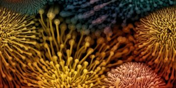 Gut Microbiome Research: Impact on Overall Health - Cover Image
