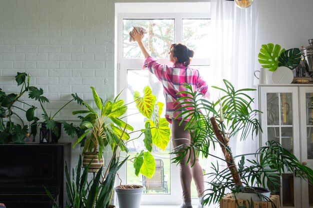 A clean, vibrant living room with large windows and lush green plants, representing a fresh, smoke-free environment and implied savings on cleaning and maintenance.