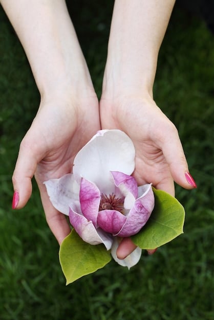 A close-up shot of hands gently holding a lotus flower, symbolizing peace and tranquility associated with The Benefits of Mindfulness: How 10 Minutes a Day Can Transform Your Health.